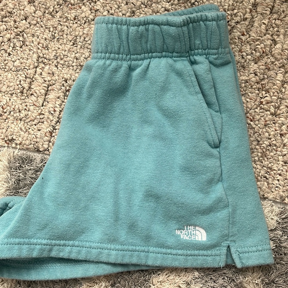 The North Face shorts